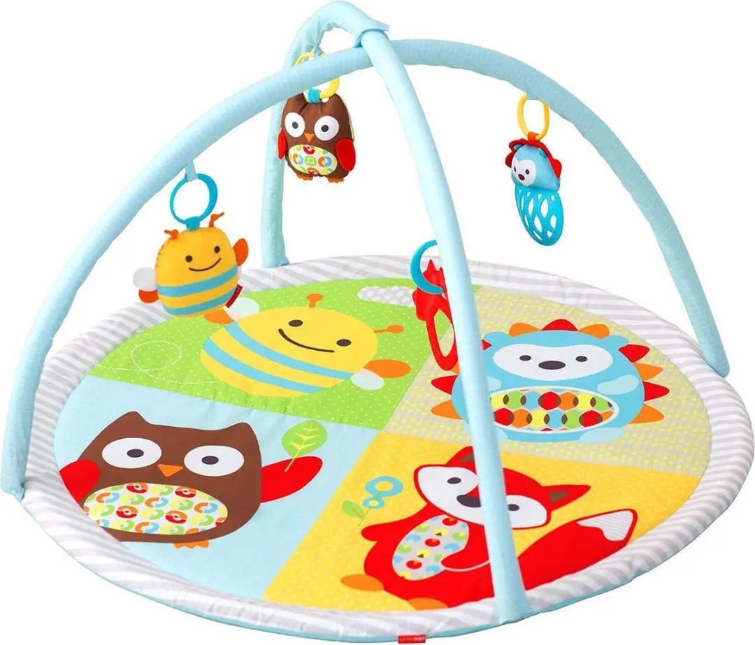 Skip Hop Explore & More Activity Gym