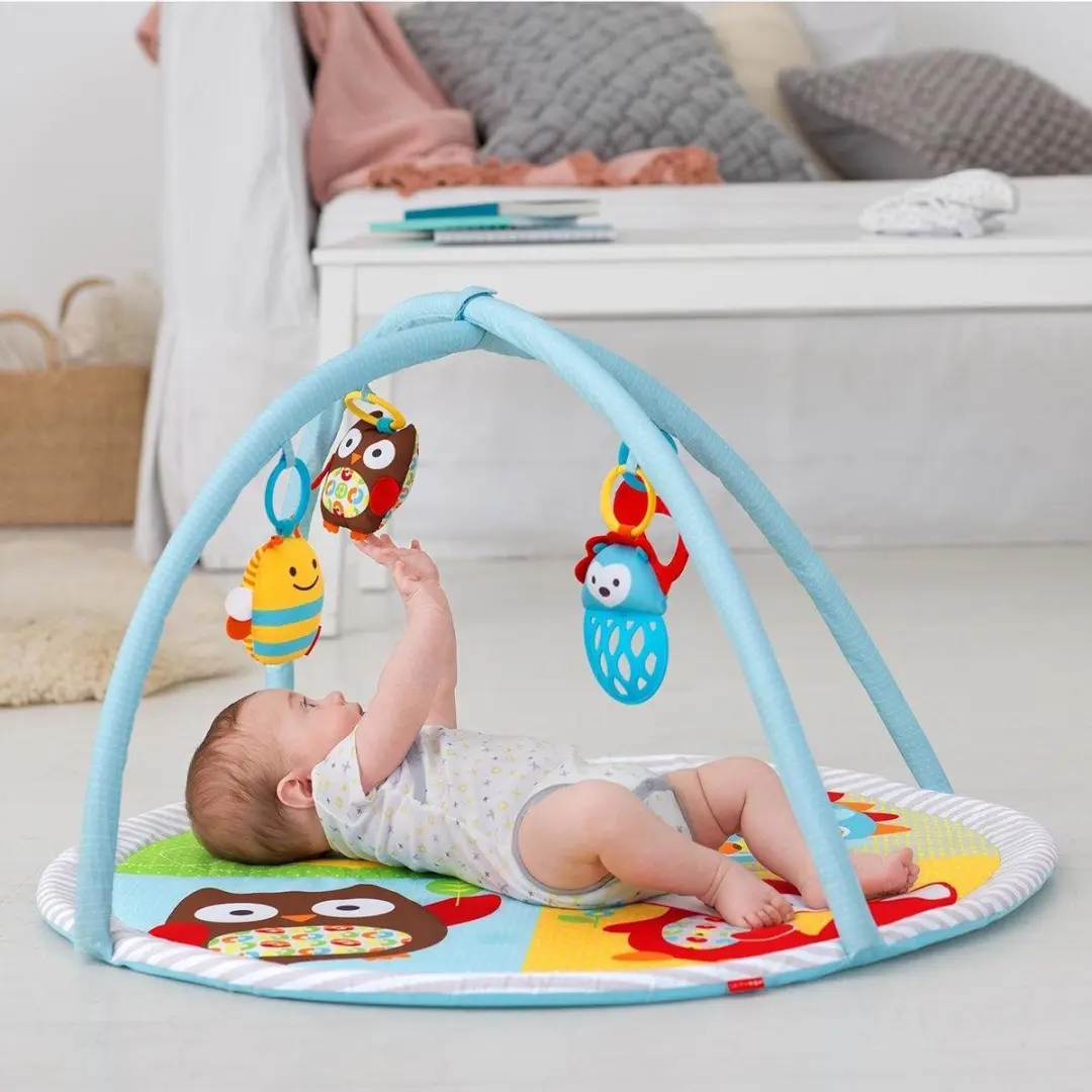 Skip Hop Explore & More Activity Gym - 4 Speelelementen