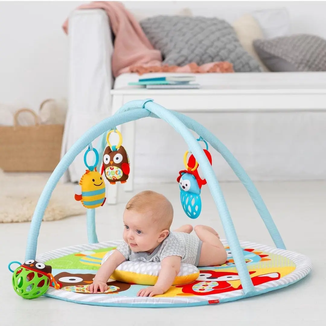 Skip Hop Explore & More Activity Gym - 4 Speelelementen