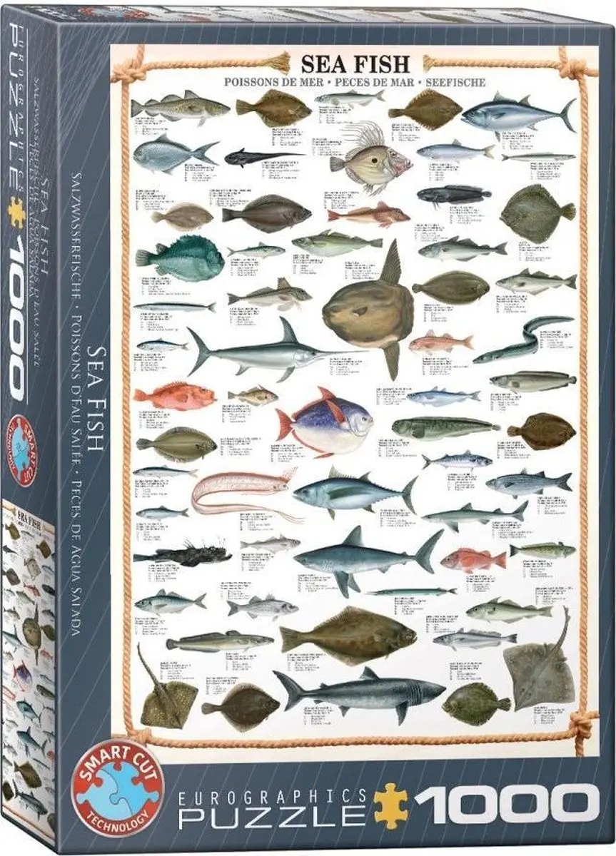 Eurographics Sea Fish Puzzel 1000 Stuks