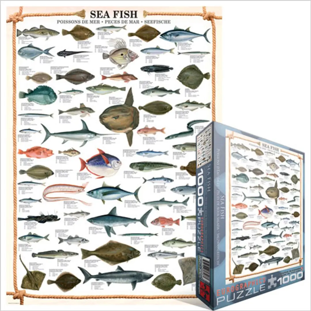 Eurographics Sea Fish Puzzel 1000 Stuks - Meerkleurig