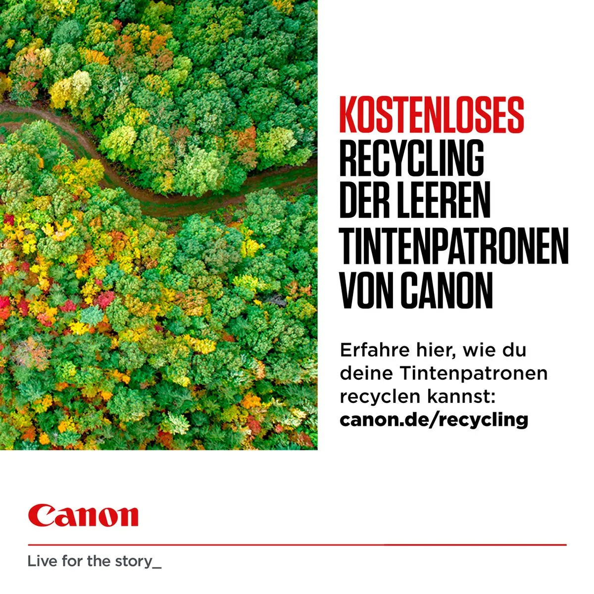 Canon CLI-551XL Inktcartridge - Cyaan - 11ml
