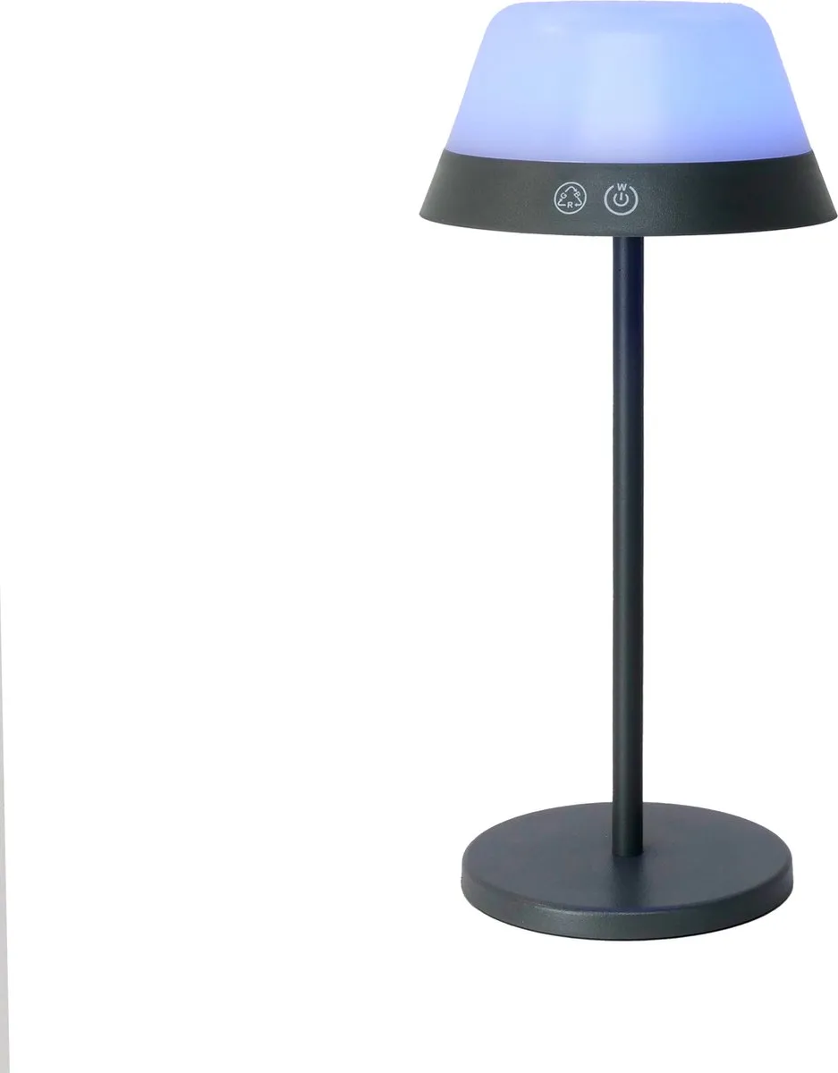 Eglo Meggiano Tafellamp - 2 Lichtpunten - 3000K - Grijs/Wit