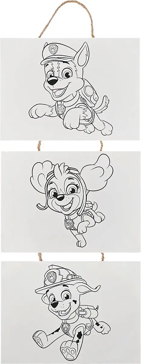 Toi-Toys Paw Patrol Mini Canvas Schilderijen - Wit