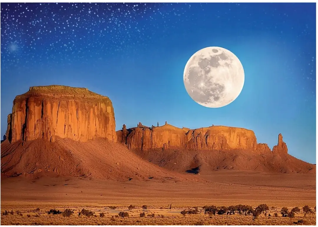 Trefl Puzzel Desert Moon 1000 Stukken