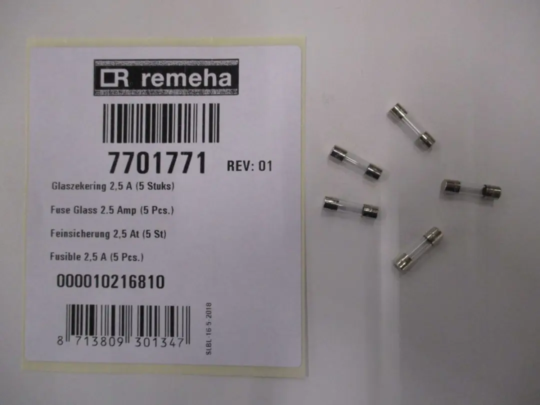 Remeha Glaszekering 2,5A 20 Stuks (5x4)