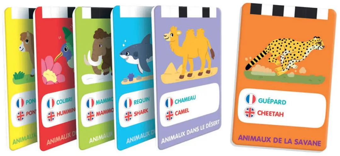Clementoni 100 Premiers Mots Bilingue Mes - 50 Kaarten - Multicolor