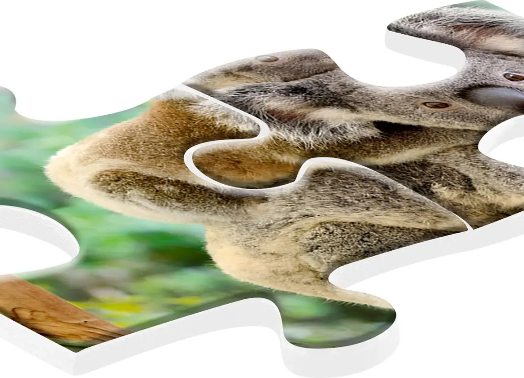 Ravensburger Familie Koala Legpuzzel 200 Stuks - Multicolor