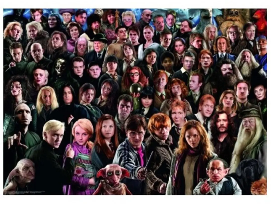 Ravensburger Harry Potter Challenge Legpuzzel 1000 Stuks - Multicolor