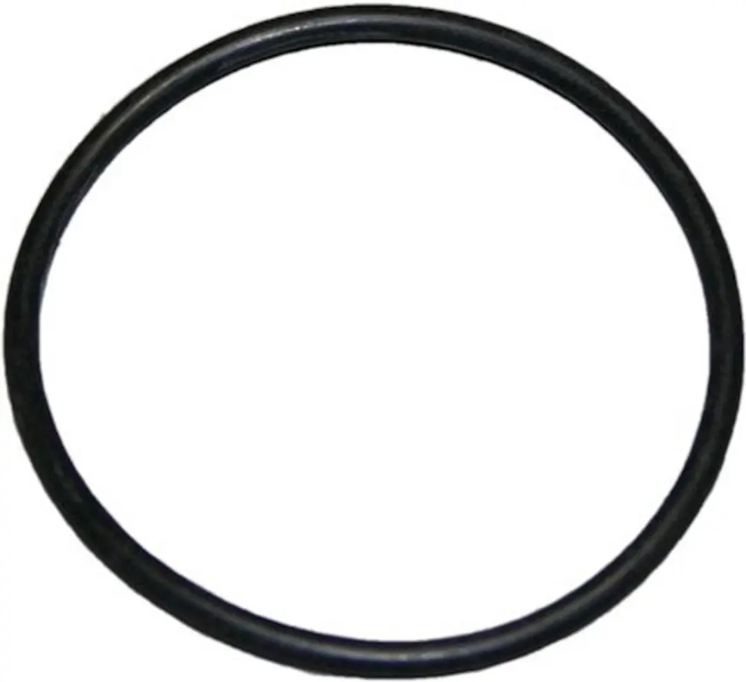 Bosch O-ring 48,9x2,62 7101596