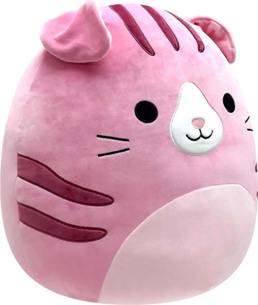 Squishmallows Geraldine Roze Kat 50cm