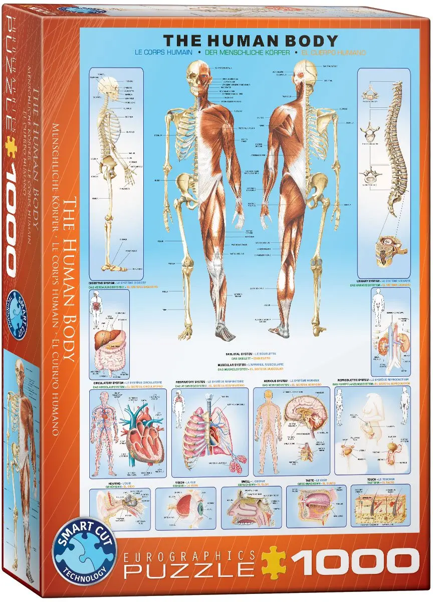 Eurographics Het Menselijk Lichaam Legpuzzel 1000 Stuks - eu6000-1000