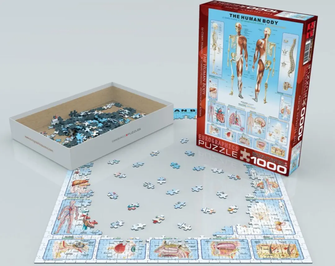 Eurographics Het Menselijk Lichaam Legpuzzel 1000 Stuks - eu6000-1000