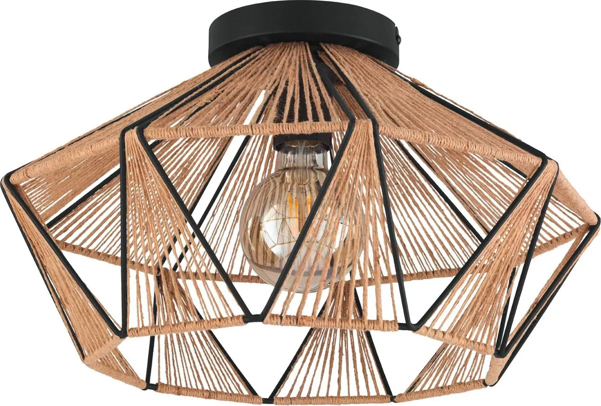 Eglo Adwickle Plafondlamp E27