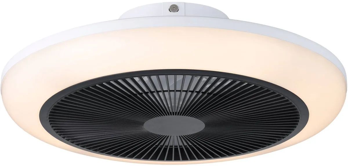 Eglo Sayulita Plafondlamp Ventilator 46cm