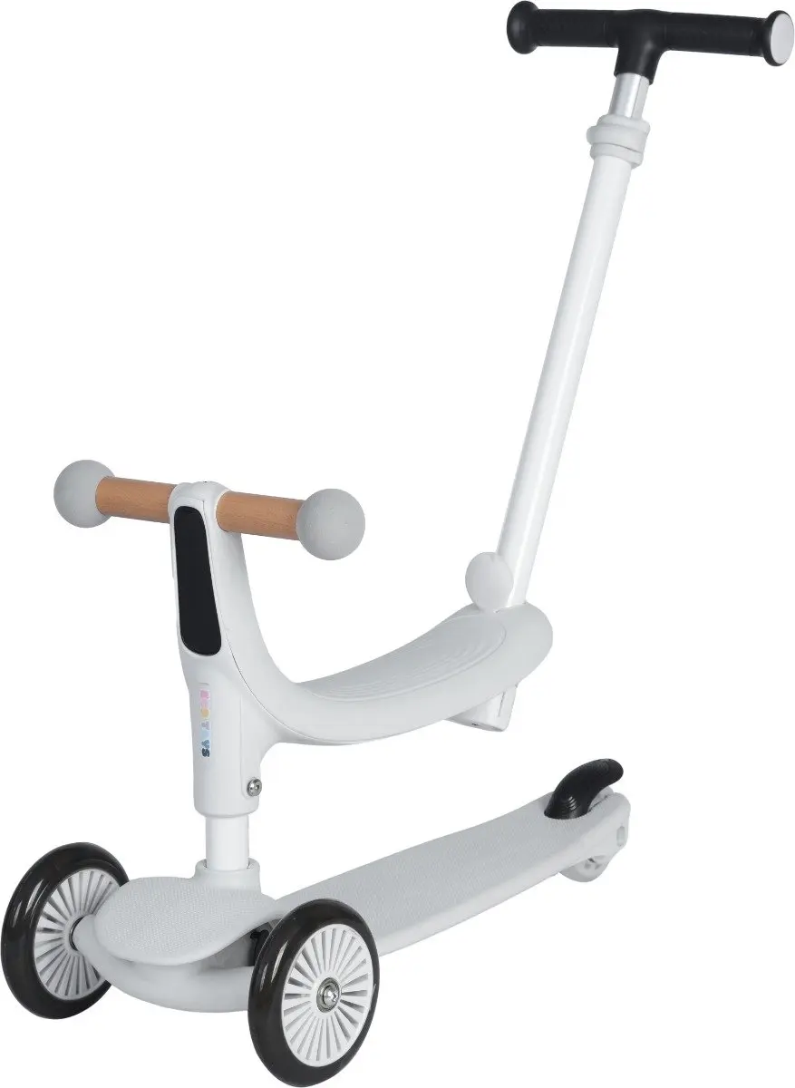 Eco Toys Flynn 3-in-1 Kinderstep