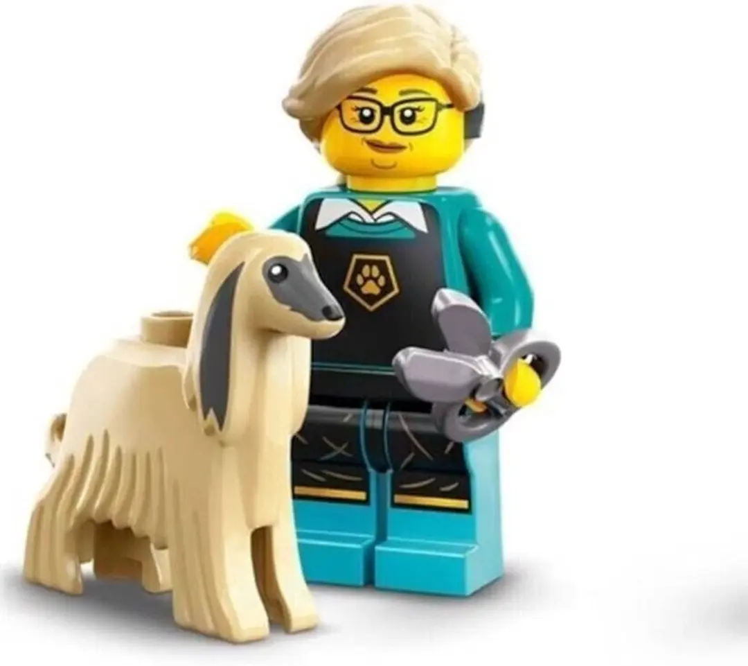LEGO Minifiguren Serie 25 71045 Pet Groomer