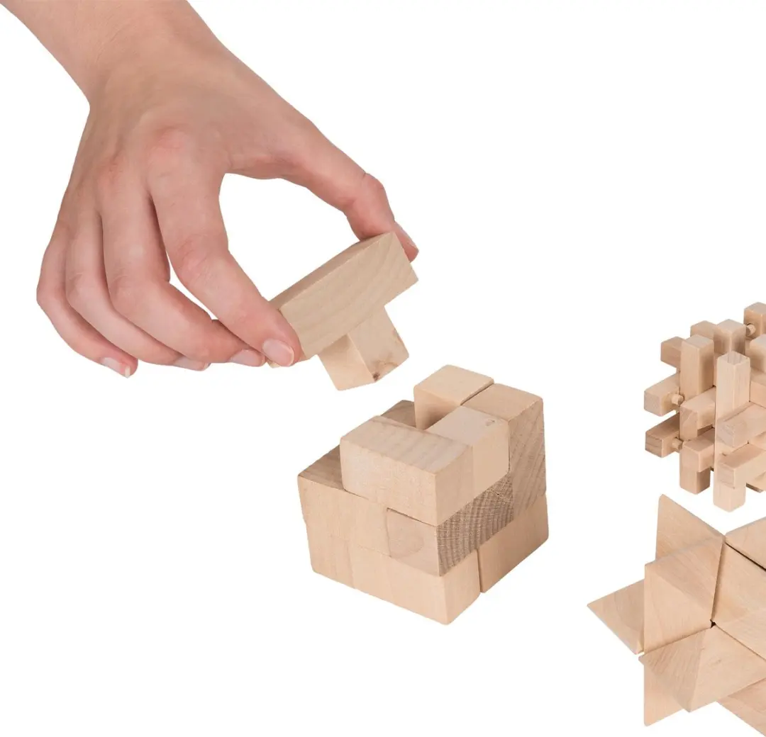 Lifetime Games Houten Denkpuzzels - 4 Stuks - Multi Color