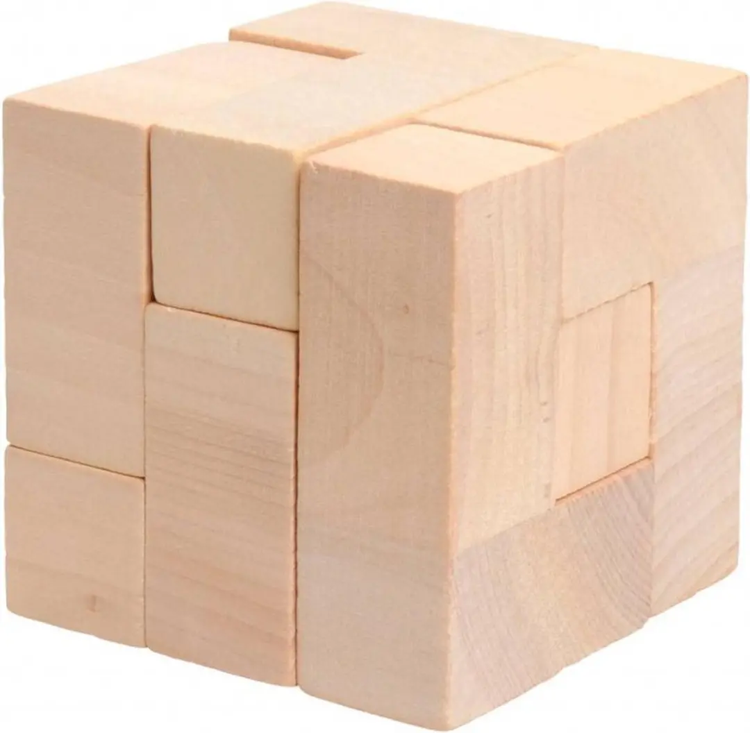 Lifetime Games Houten Denkpuzzels