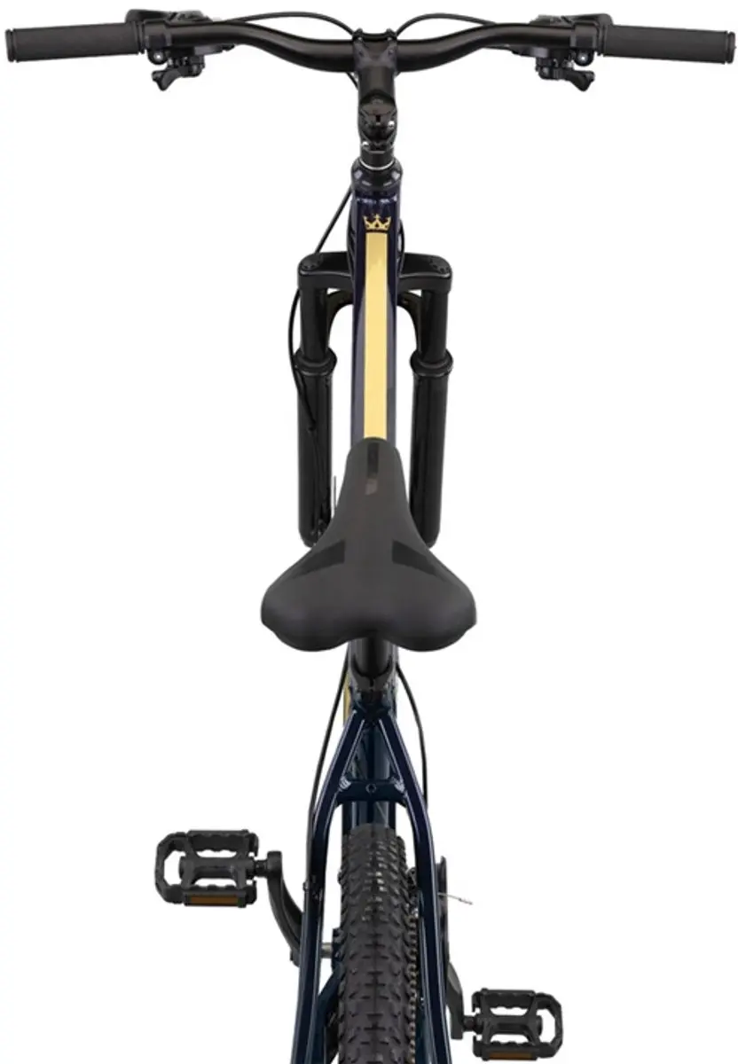 Altec Hardtail King 29 Mountainbike 21V - 46cm Donkerblauw