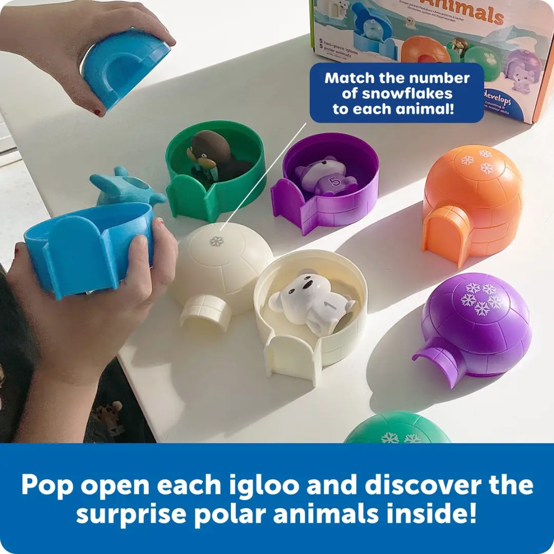Learning Resources Sort & Seek Polar Animals LER6811 - Multikleur - afbeelding 6 van 6