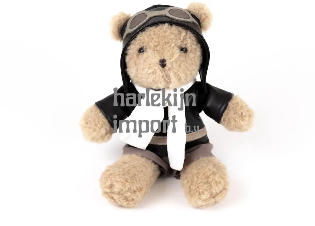 Egmont Toys Knuffel Piloot Beer 30cm