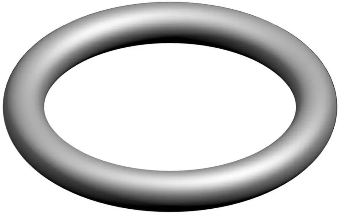 Bosch O-ring 10x