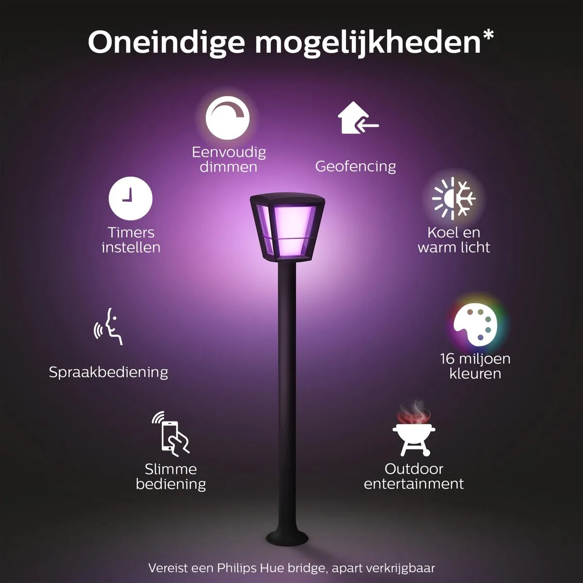 Philips Hue Econic Sokkellamp - 15W - Zwart