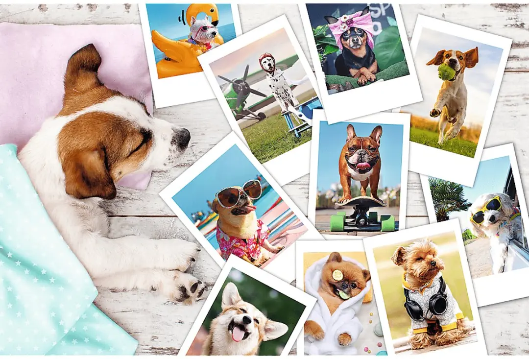 Trefl Vakantiefoto's Puzzel 300 Stuks - Meerkleurig
