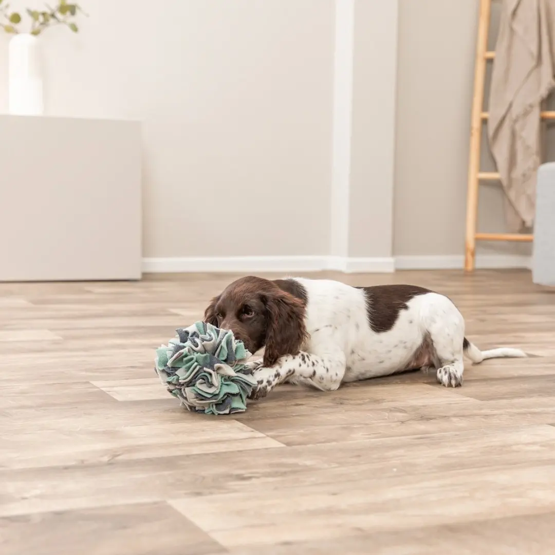 Trixie Snuffelbal Blauw - afbeelding 4 van 6