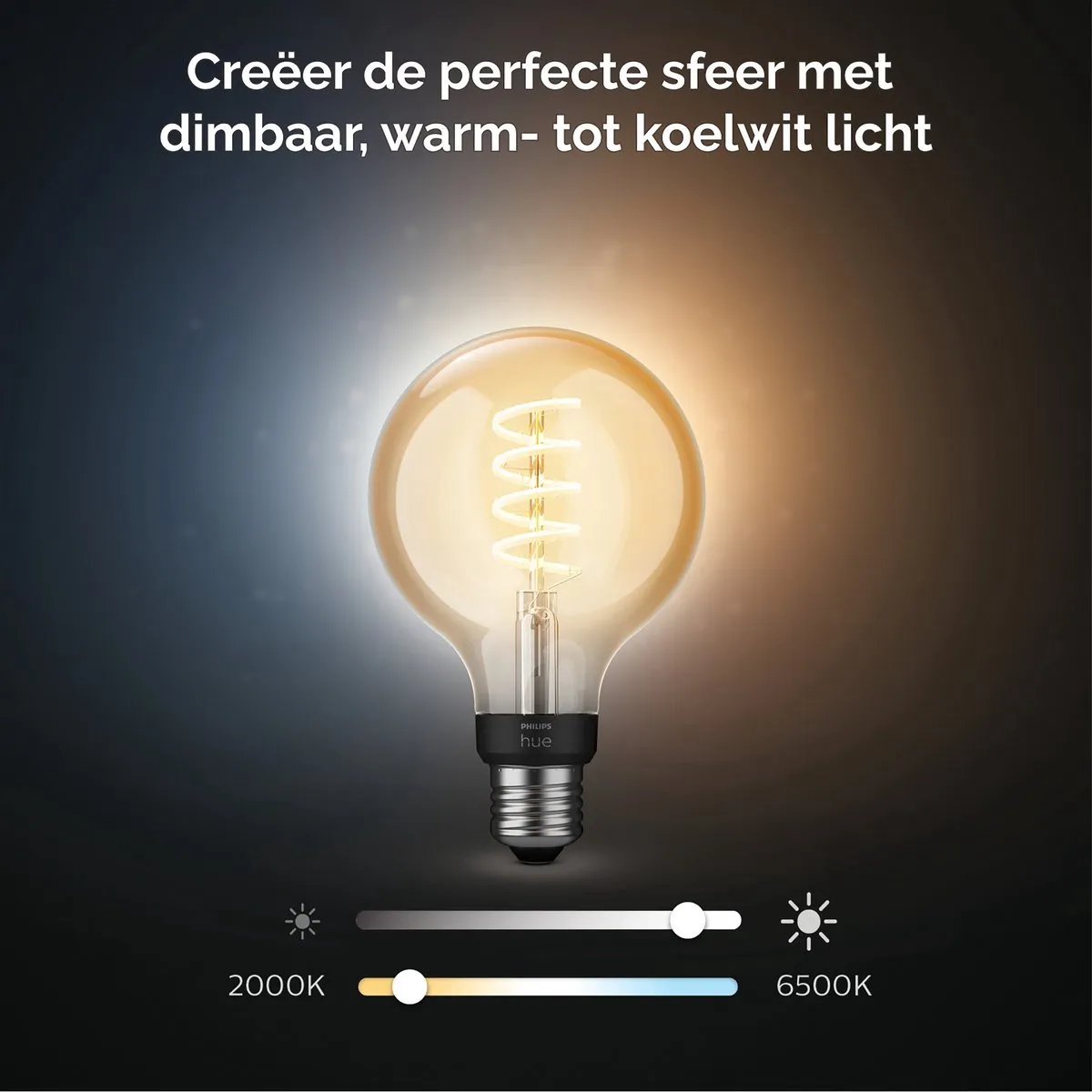 Philips Hue Starterpakket E27 - 2x Filament Globe G93 - Warm tot Koelwit - Bridge Inclusief