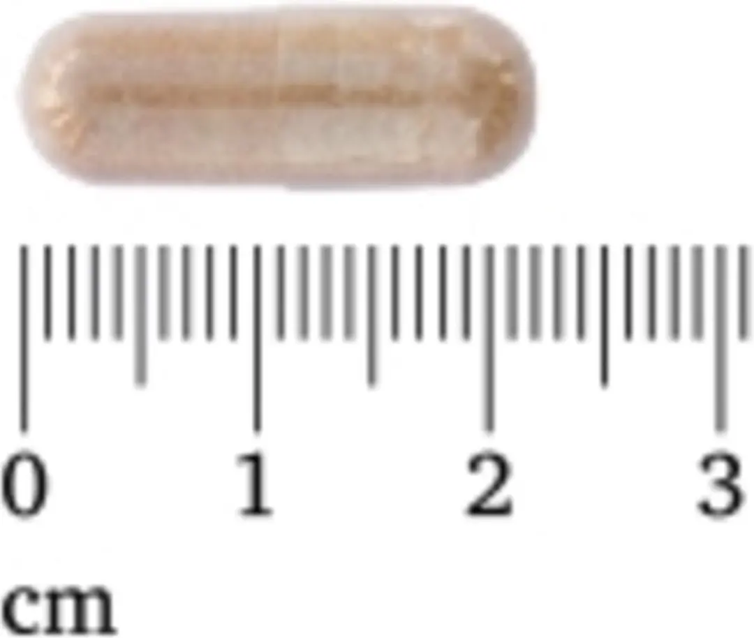 Lucovitaal Urilady 180g - 3x60 Capsules