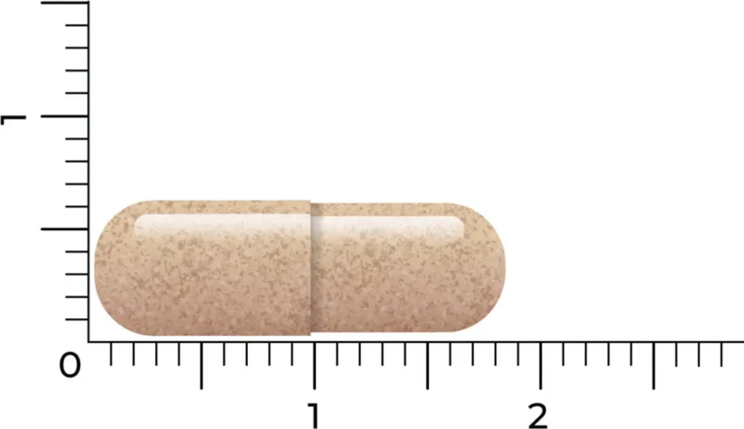 Vitakruid Lactoferrine 150mg - 120 Vegacapsules