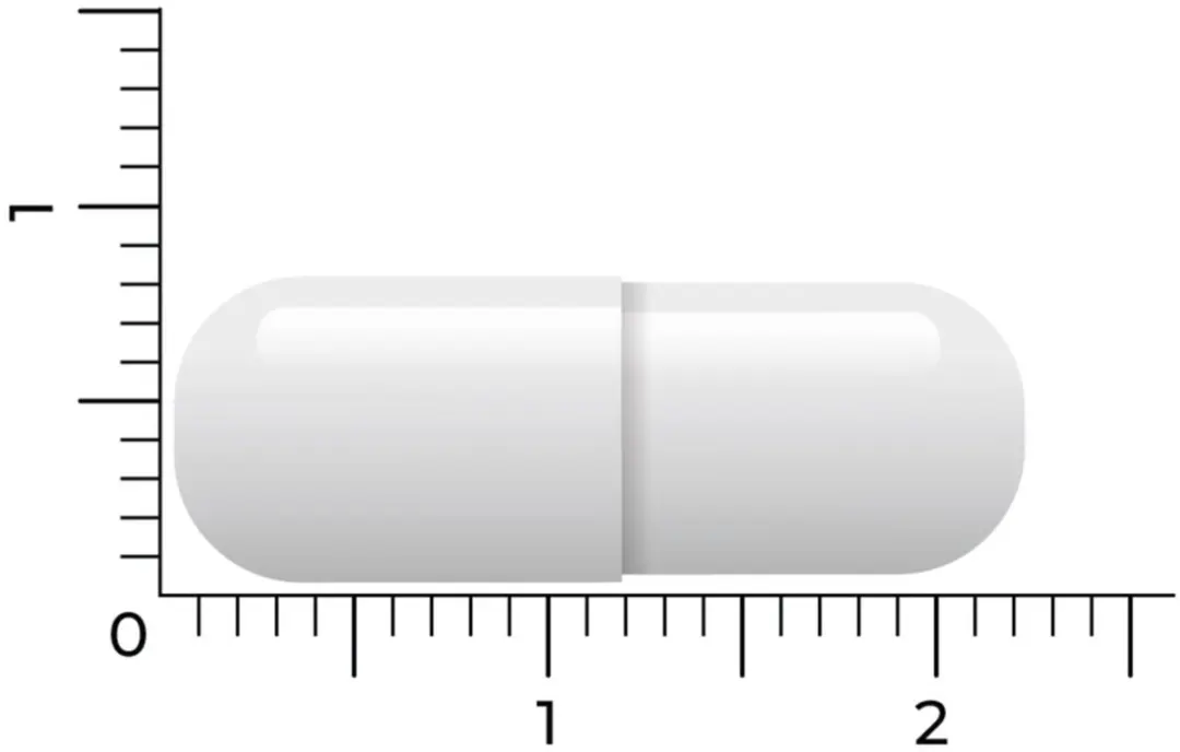Vitakruid Acetyl L-Carnitine 500mg - 180 Vegancapsules