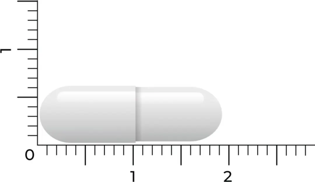 Vitakruid Lactase Optiferm 3000 FCC - 90 Capsules