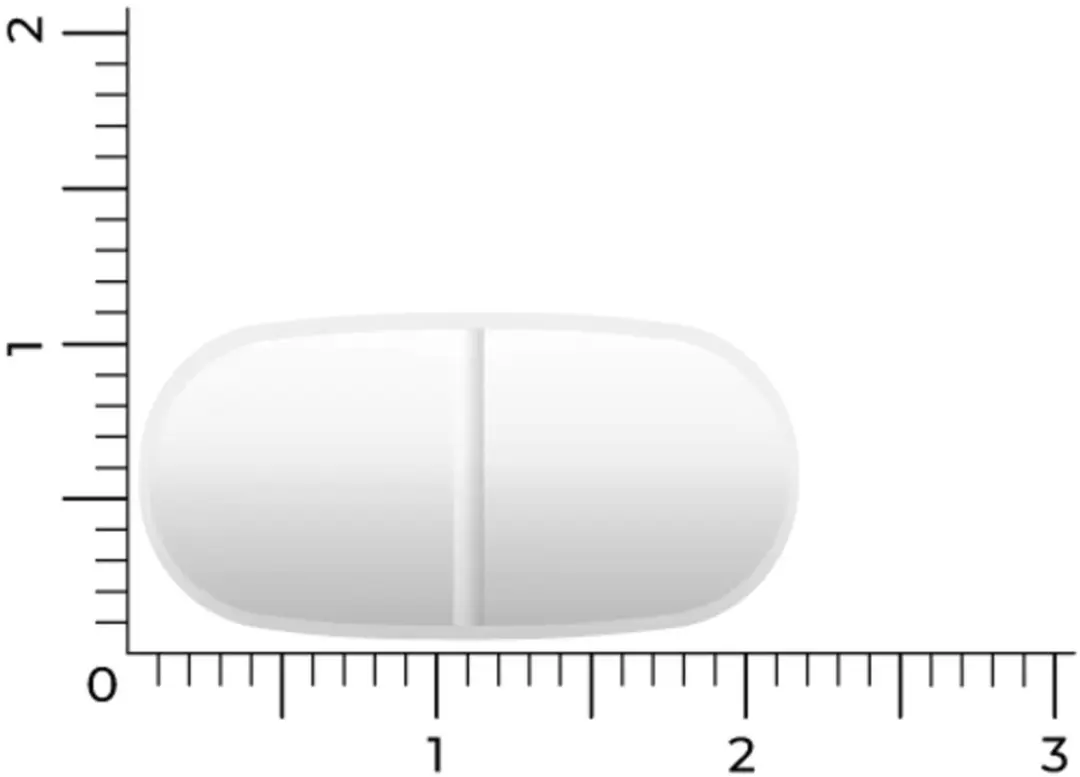 Vitakruid Magnesium Elite⁶ Complex 90 Tabletten