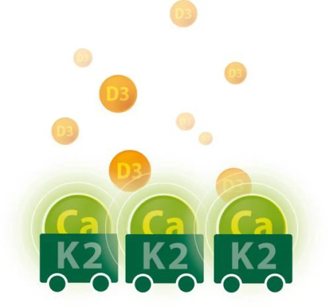 Vitakruid Vitamine D3 & K2 30ml