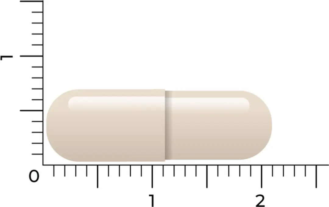 VitaKruid Groenlipmossel & Ovomet 90 Capsules
