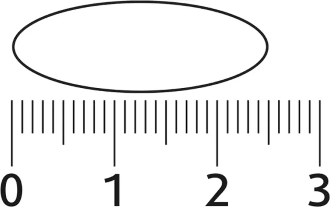 Lucovitaal Lijnzaadolie 60ml