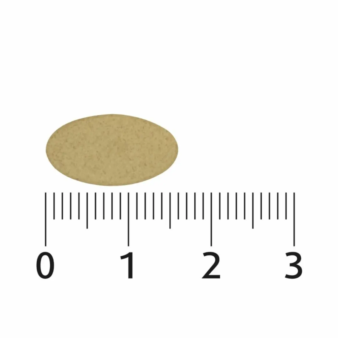 Lucovitaal Sterk IJzer Complex - 3x60 Tabletten