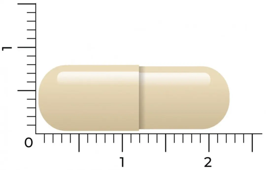 Vitakruid Gebufferde Vitamine C 180 Vegacapsules