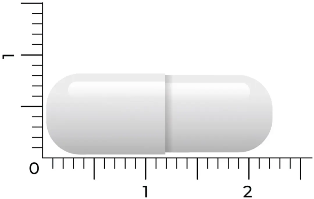 Vitakruid L-Tyrosine 500mg - 120 Vegancapsules