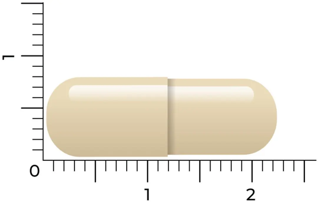 VitaKruid Rhodiola Extract 500mg - 60 Tabletten