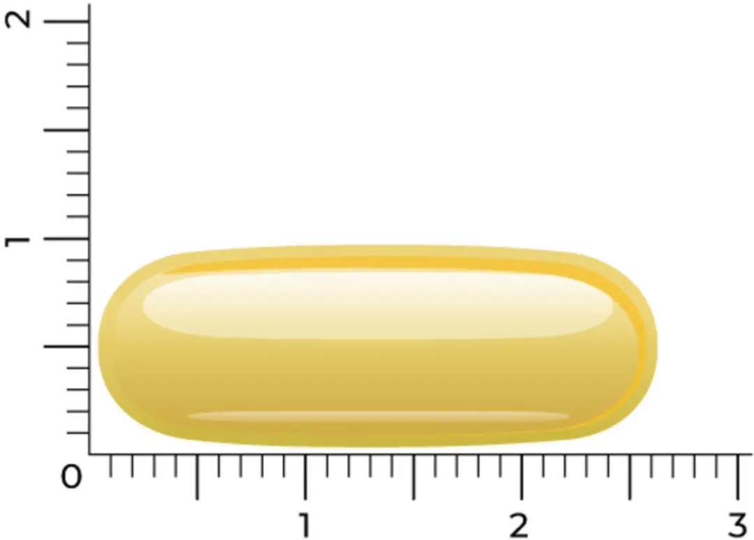 Vitakruid Visolie 1400 TG D3 - 30 Capsules