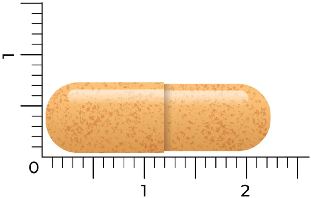 Vitakruid B-Complex Actief 180 Vegancapsules - 2x90