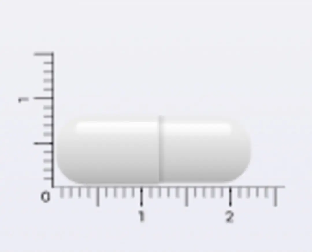 Vitakruid Acetyl-L-Carnitine 500mg - 90 Stuks