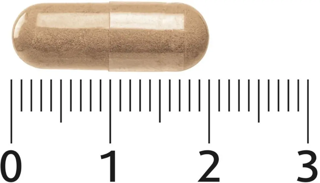 Lucovitaal L-Dopa Mucuna Pruriens 60 Capsules