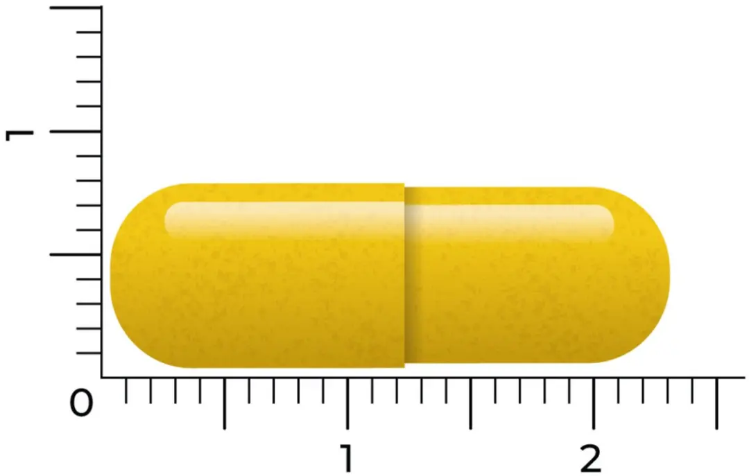 Vitakruid Berberine 500 Rebersa 50ml
