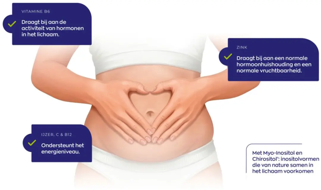 Vitakruid Femme Vruchtbaarheid Support 120 Vegacapsules