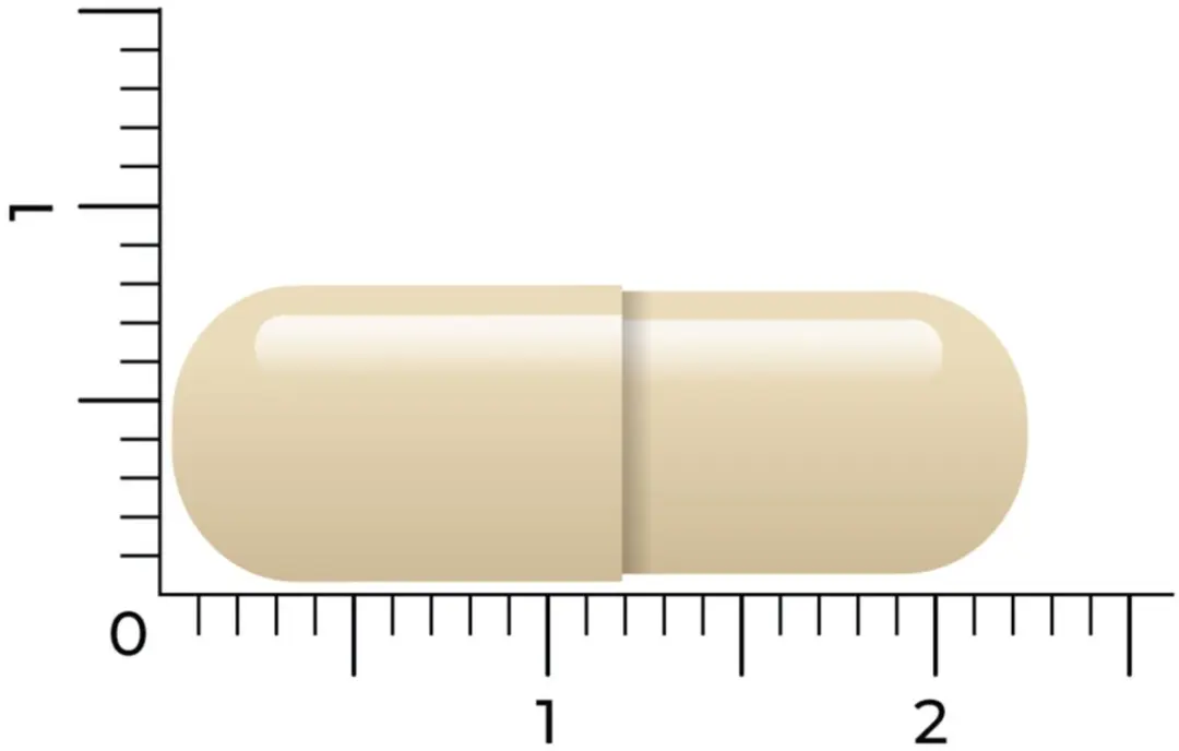 Vitakruid Para-DTX Vegancapsules - 120 Stuks - afbeelding 6 van 6